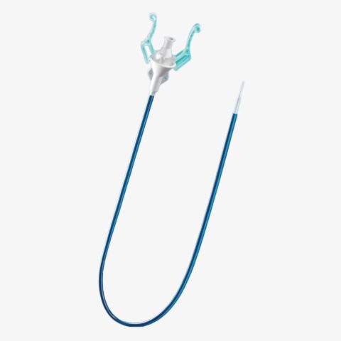 Vaina De Acceso Ureteral INDRIVE