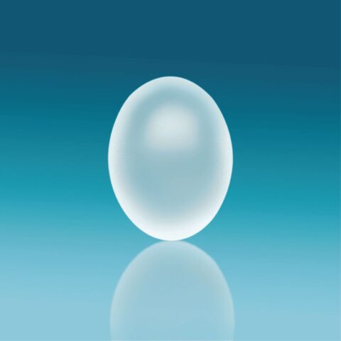 Prótesis Testicular N&S